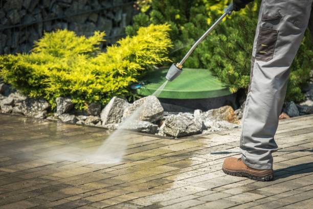 Best Pool Deck Cleaning  in Bazon, CA